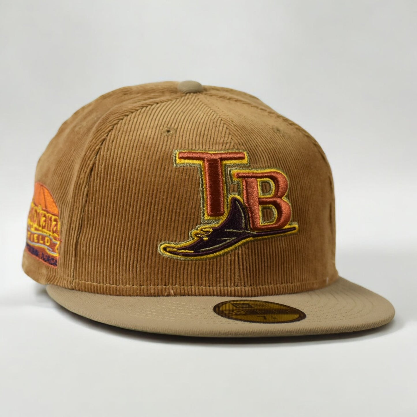 Tampa Bay Rays Cord Dream Tropicana Field